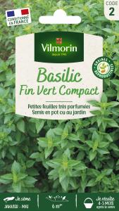 Basilic Fin Vert Compact